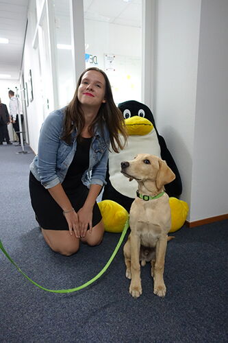 Abbildung 1: Ein Linux-Tux hat immer Fans